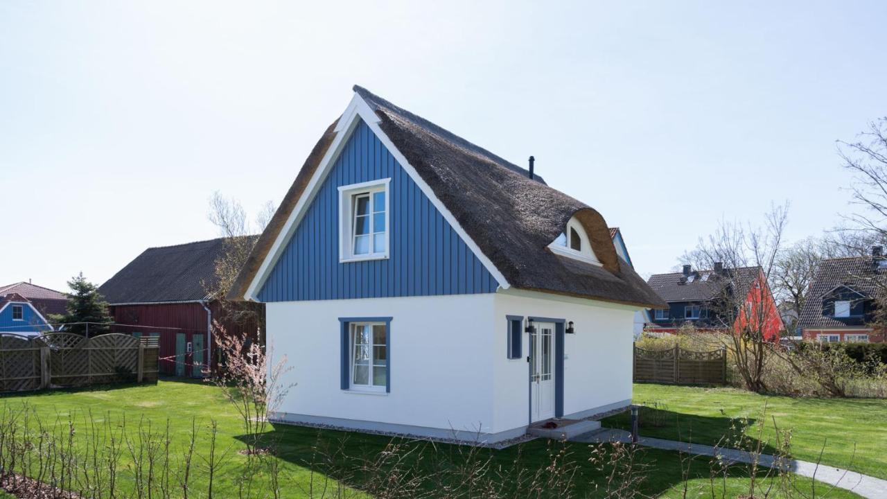 Traumgarten Villa Harmonie Prerow Exteriör bild